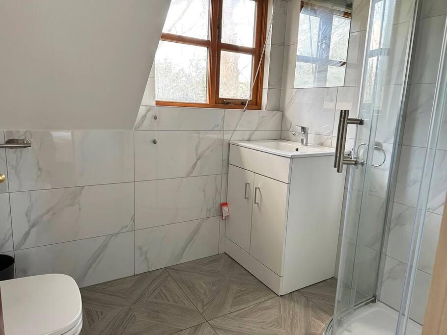 צ'יזלהרסט Forest Studio Apartment Gated Parking On 2 Acres Garden מראה חיצוני תמונה