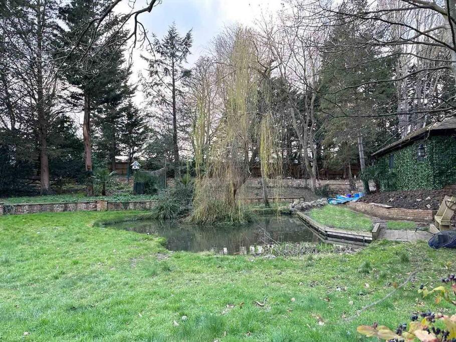 צ'יזלהרסט Forest Studio Apartment Gated Parking On 2 Acres Garden מראה חיצוני תמונה