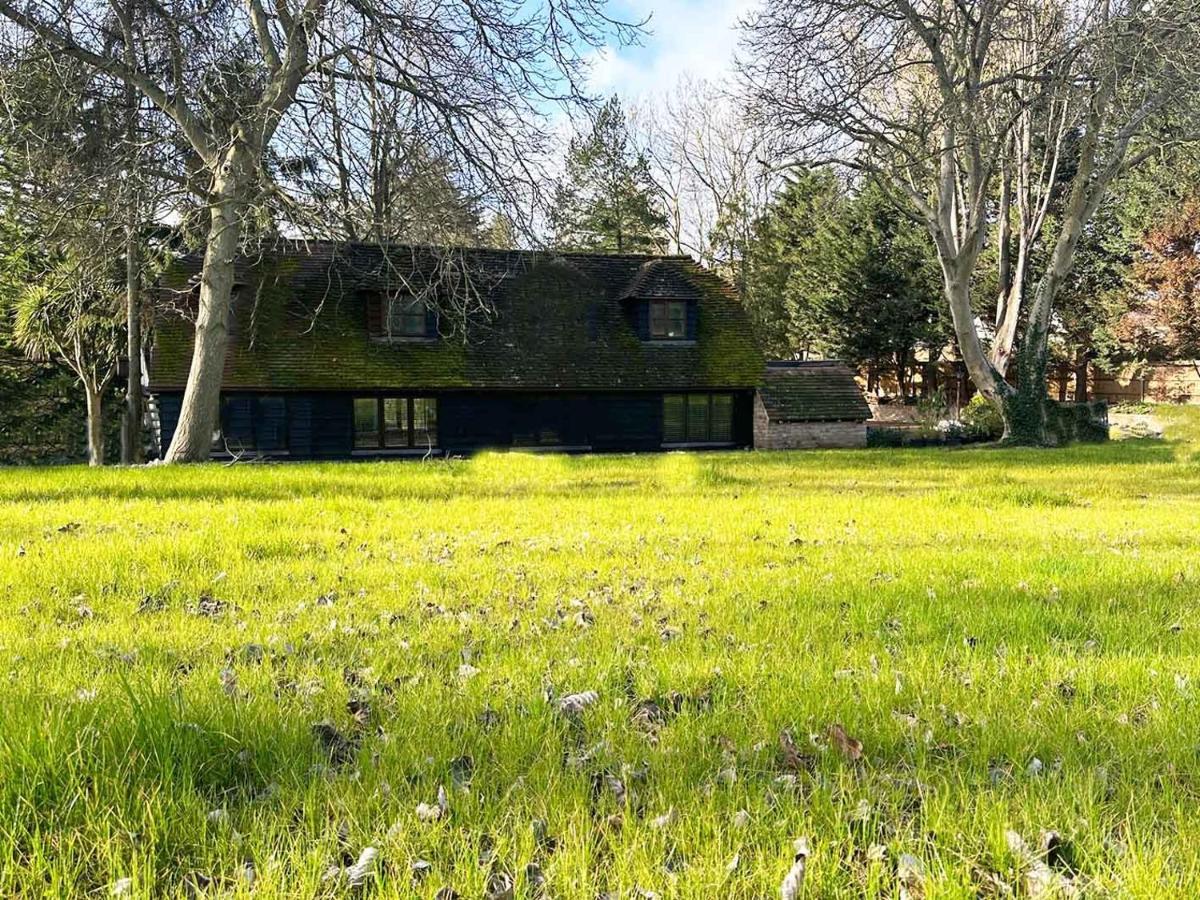 צ'יזלהרסט Forest Studio Apartment Gated Parking On 2 Acres Garden מראה חיצוני תמונה