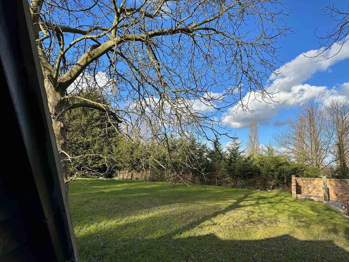 צ'יזלהרסט Forest Studio Apartment Gated Parking On 2 Acres Garden מראה חיצוני תמונה